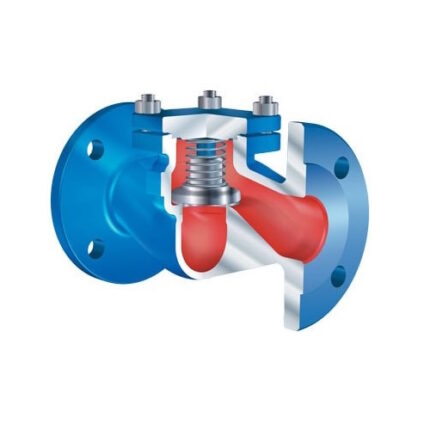 ARI-CHECKO-V Check Valve